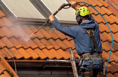 Démoussage et hydrofuge de toiture à Douzains